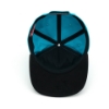 Liner image of the Teal Since 1915 Hat on white background